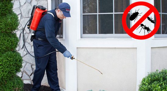 Bahçelievler Bit İlaçlama böcek ilaçlama ve haşere kontrolü — ilaclama-tr.com
